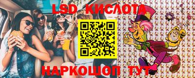 прущие крисы Камышлов