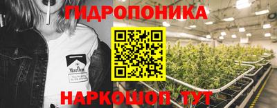 прущие крисы Камышлов