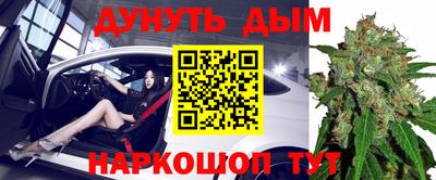 прущие крисы Камышлов