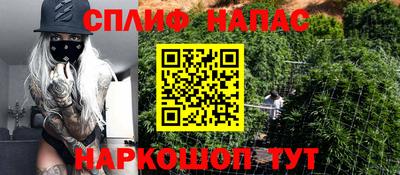 прущие крисы Камышлов
