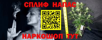 прущие крисы Камышлов