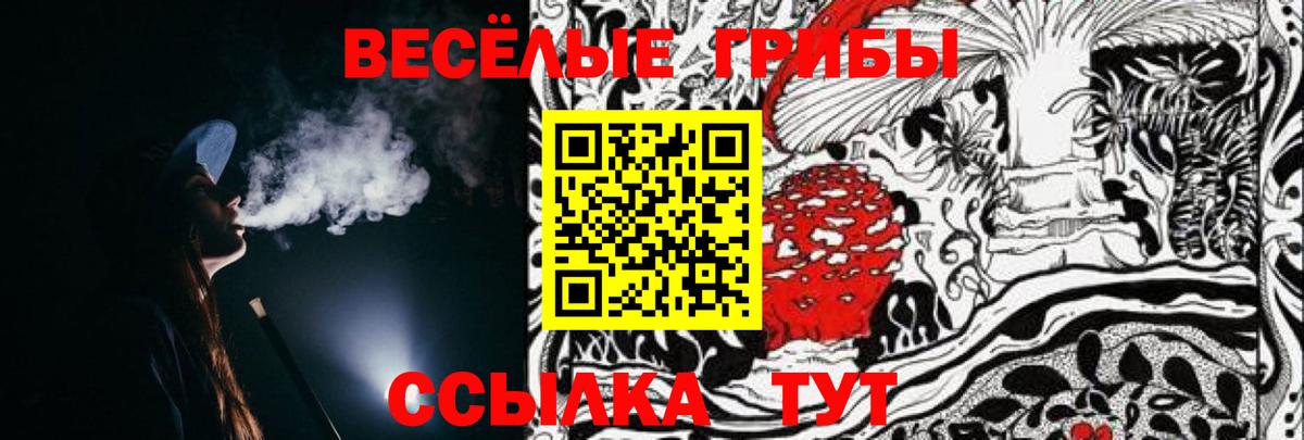 Псилоцибиновые грибы Cubensis  Вход с VPN  Луга  Галлюциногенные грибы GOLDEN TEACHER 